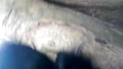 स्ट्रिपटीज़ गोरी प्यूमा स्वेड का सेक्सी पिक्चर वीडियो हिंदी पूरा और अच्छा हंडजोब