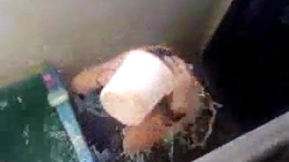 सुनहरे बालों वाली औरत उसकी बिल्ली सेक्स की पिक्चर फिल्म और गधे हस्तमैथुन