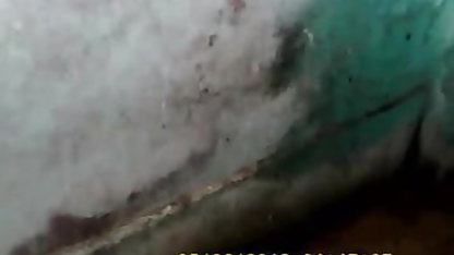 मैं अपनी भाभी को मुझे एक अच्छा blowjob बनाने के लिए देखना चाहता हूं जानवर पिक्चर सेक्सी